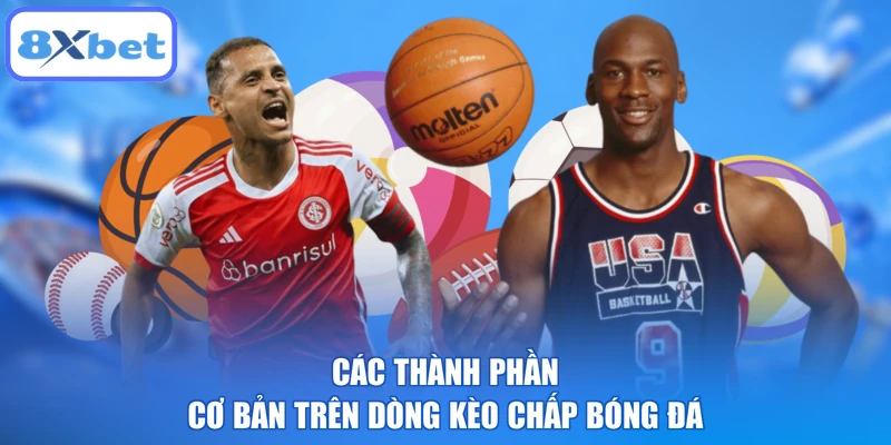 Các thành phần cơ bản trên dòng kèo chấp bóng đá