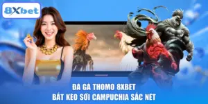 Đá Gà Thomo 8XBET Bắt Kèo Sới Campuchia Sắc Nét
