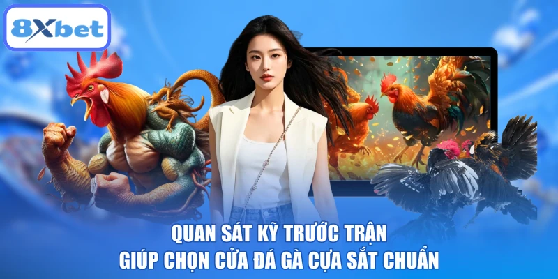 Quan sát kỹ trước trận giúp chọn cửa đá gà cựa sắt chuẩn