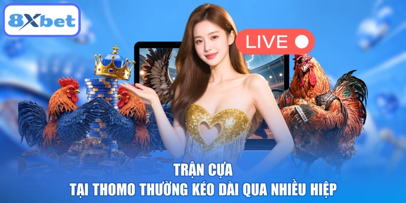 Trận cựa tại Thomo thường kéo dài qua nhiều hiệp
