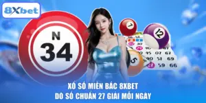 Xổ Số Miền Bắc 8XBET, Dò Số Chuẩn 27 Giải Mỗi Ngày